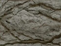 CRACKED BACKGROUND : black back (TRANSITION) Stock Footage