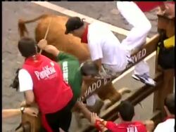 Nine thrill-seeking runners were injured, three by goring, in a dangerous last running of the bulls at Spain's San Fermin festival, officials said Wednesday. It was the bloodiest run of this years festival Instructional Video