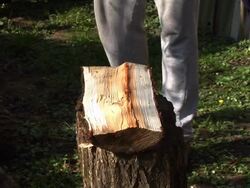 HD: Lumberjack Stock Footage