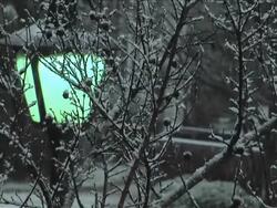 Snow Day - Lantern & Frosted Tree Branches Stock Footage