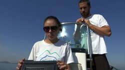 Rio dolphin population in decline News Clip