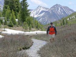 Hiking in the Mountains Stock Footage