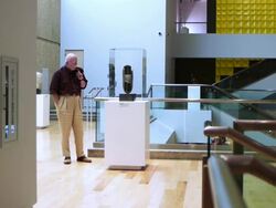 WS Visitor walking around and looking at art sculpture in exhibit case in modern museum environment featuring hardwood floors / Palm Springs, California, USA Stock Footage