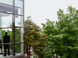 WS PAN businessman and businesswoman in discussion in glass walled conference room view from outside/Seattle, Washington, USA Stock Footage