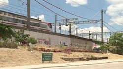 VOICED : Spaniards grow green fingers in response to crisis News Clip