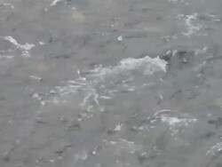 MS water flowing in a river / Xam Neua, Laos Stock Footage