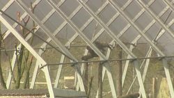 South Lakes Safari Zoo News Clip