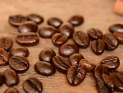 Coffee beans   camera slide Stock Footage