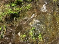 Mountain creek Stock Footage