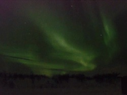 Aurora borealis, Northern Lights over woodland, Karasjok, Norway, February 2008 Stock Footage