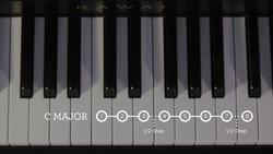 TED-ED: Music and math: The genius of Beethoven - Natalya St. Clair Instructional Video