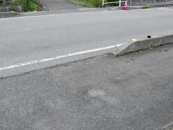 Lone dog wanders deserted streets of exclusion zone near Fukushima Daiichi nuclear plant Stock Footage