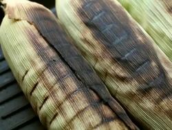 Grilled corn Stock Footage