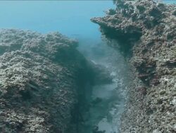 "Swimming through trench in coral, Tenerife" Stock Footage