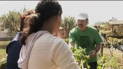 Campaign to grow your own vegetables News Clip