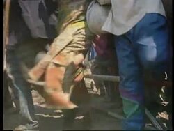 Rwanda/Zaire - Rwandan Refugees Begin To Go Home News Clip