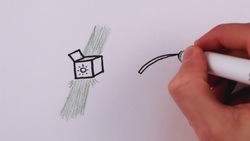 Why Are Leaves Green? Part 2 Instructional Video