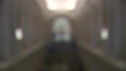 Met Plans To Charge Mandatory Admission News Clip