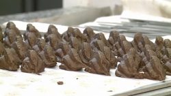 CLEAN : Easter big business for French chocolate makers News Clip