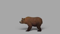 Howling Bear with Alpha Channel (Loopable) Stock Footage