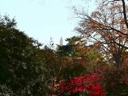 Long distance shot of the top of the Washington Monument in Washington DC Stock Footage