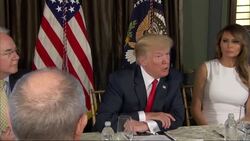 Trump Briefed on Opioid Epidemic News Clip