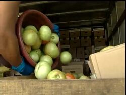 The FDA says it had begun looking at jalapeno peppers as a possible cause of the Salmonella outbreak, as well as ingredients used to make salsa such as cilantro and Serrano peppers. Tomatoes continue to be investigated. News Clip