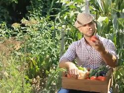 Farmer picking vegetables Stock Footage