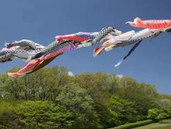 koinobori in Japan Stock Footage