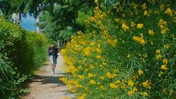 boy sneezing from pollen of flowering plants Stock Footage