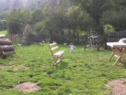 Rural Scene Stock Footage