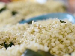 panning : Jasmine garland to respect religion Stock Footage