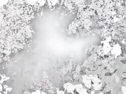 COOPER BEECH TREE IN AUTUMN : white (seamless loopable) Stock Footage