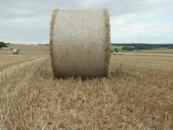 WS Bale of straw on grass field / Serrig, Rhineland-Palatinate, Germany Stock Footage