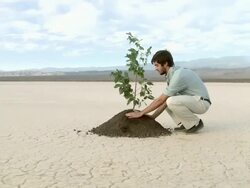 Man planting plant in desert landscape Stock Footage