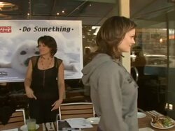 Celebrity Save The Seal Day: Press Conference Hosted by Celebrities Against The Seal Hunt Stock Footage