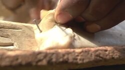 Ancient instrument wins new fans Instructional Video