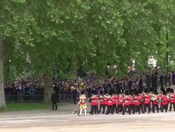 MS Shot of Queen's Birthday Parade in Trooping Colour at Whitelhall AUDIO / London, United Kingdom Stock Footage
