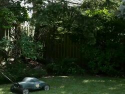 Man mowing grass with lawnmower Stock Footage