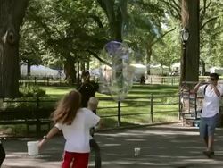 Early Summer In Central Park Stock Footage