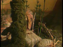 Russia - Dinosaur Theme Park Opens News Clip