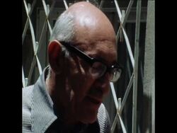 SYND 9 7 75 ISRAELI COMMENTATOR ALAIN GUINAY SPEAKS ON PEACE SETTLEMENT News Clip