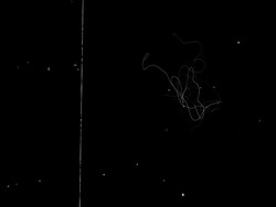 Old Film Effect Stock Footage