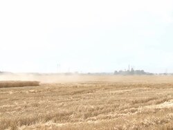 Wheat farmer harvests grain in summer heat Stock Footage