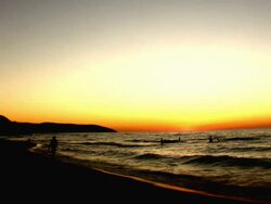 silhoettes and Sunset Stock Footage