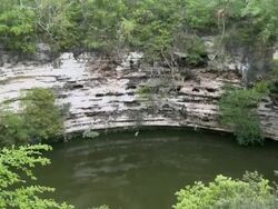 WS TD Round natural pool (Cenote) on border of Cenote with bushes / Chichen Itza, Yucatan, Mexico Stock Footage