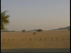 MS Pan right, Microlight taking off, Sesriem reserve, Namibia Stock Footage