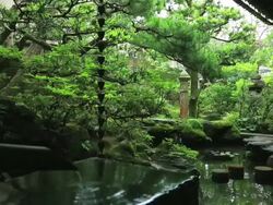MS Small pond of Wooden old house for samurai / Kanazawa, Ishikawa, Japan Stock Footage