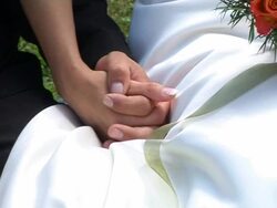 Truelove Stock Footage