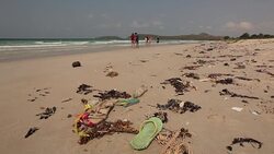 Lot of rubbish washed up on the shore on the beach Stock Footage